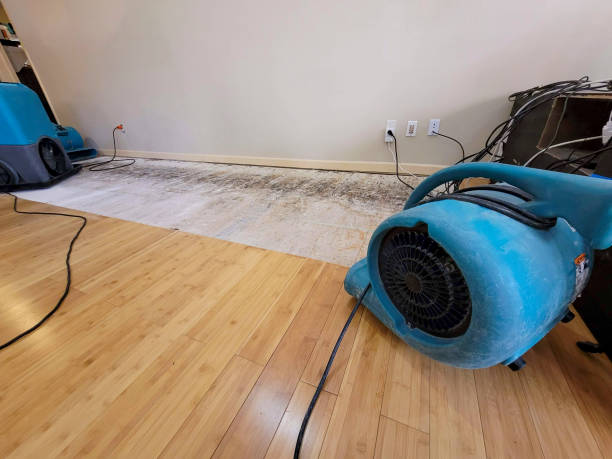 Professional Burst Pipe Water Damage technician working in New Portland, ME